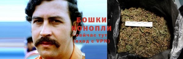 дурь Белоозёрский
