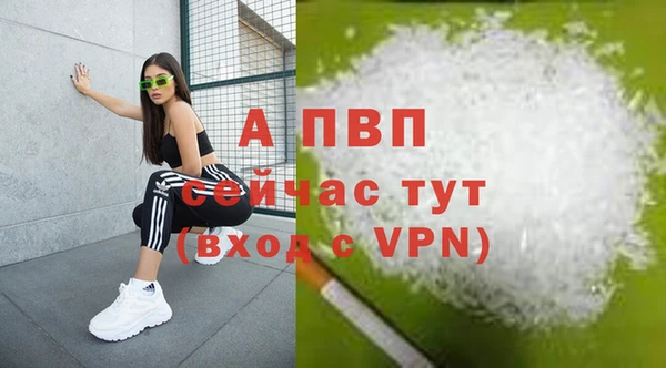 стафф Богородицк