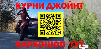 дурь Берёзовский