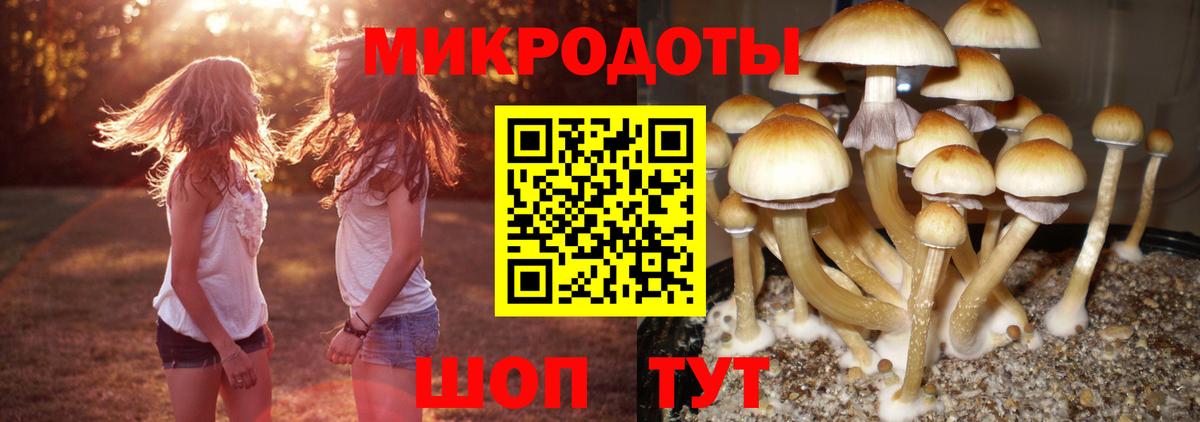 Вязники  Галлюциногенные грибы мицелий  Вход с VPN 